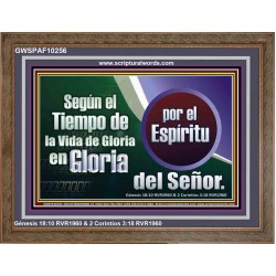 Según el Tiempo de la Vida   Versículos de la Biblia Marcos en línea   (GWSPAF10256)   