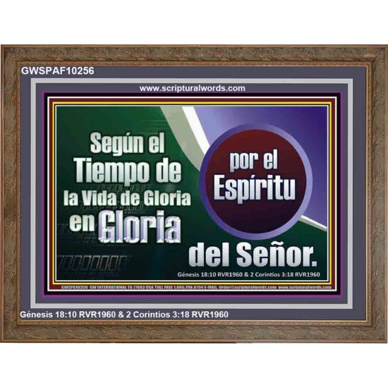 Según el Tiempo de la Vida   Versículos de la Biblia Marcos en línea   (GWSPAF10256)   