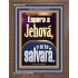 Espera a Jehová, y él te salvará   Marco Decoración bíblica   (GWSPAF11047)   "33x45"