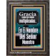 Gracia y paz   pinturas cristianas   (GWSPAFAVOUR10116)   