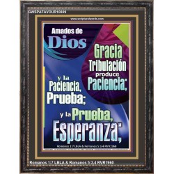 Tribulación produce Paciencia   Marco de versículo bíblico para el hogar en línea   (GWSPAFAVOUR10809)   