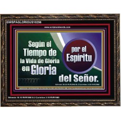 Según el Tiempo de la Vida   Versículos de la Biblia Marcos en línea   (GWSPAGLORIOUS10256)   