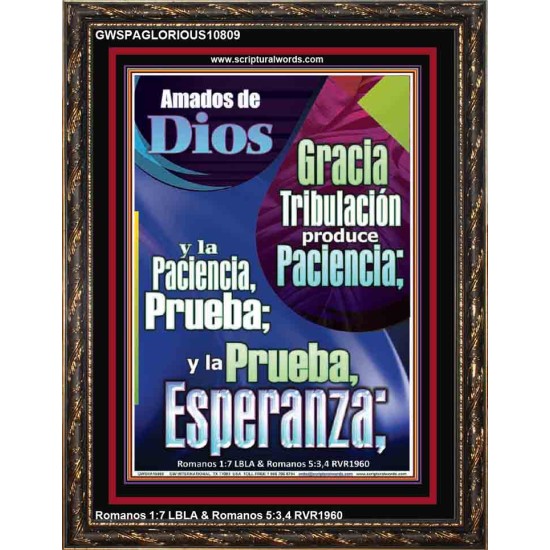Tribulación produce Paciencia   Marco de versículo bíblico para el hogar en línea   (GWSPAGLORIOUS10809)   