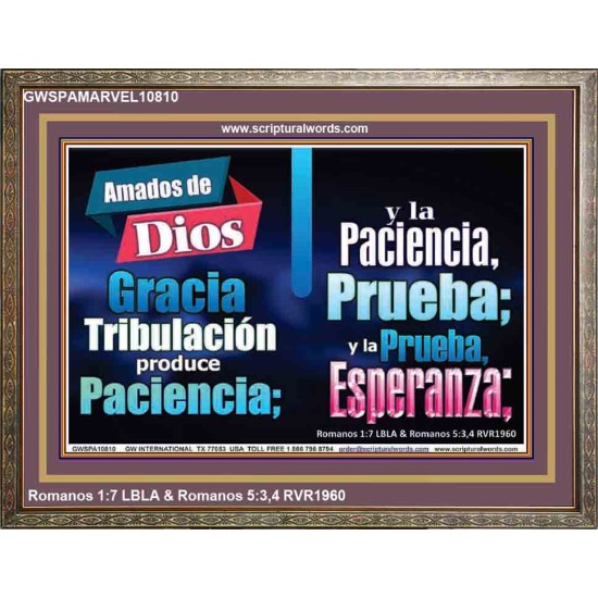 La tribulación produce paciencia y esperanza   Marco Escrituras Decoración   (GWSPAMARVEL10810)   