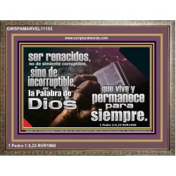 por la Palabra de Dios que vive y permanece para siempre   Letreros enmarcados en madera de las Escrituras   (GWSPAMARVEL11153)   