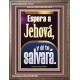 Espera a Jehov, y l te salvar   Marco Decoracin bblica   (GWSPAMARVEL11047)   