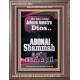 ADONAI Shammah EL SEÑOR ESTÁ AQUÍ   Versículo de la Biblia del marco   (GWSPAMARVEL9852)   