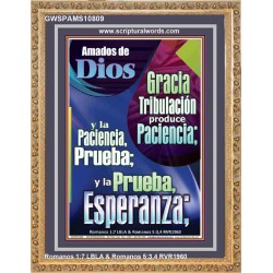 Tribulación produce Paciencia   Marco de versículo bíblico para el hogar en línea   (GWSPAMS10809)   