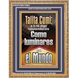 Talitha Cumi brilla como luces en el mundo   Versículos de la Biblia   (GWSPAMS10962)   "28x34"