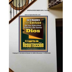 Espíritu de Resurrección   Decoración de pared interior enmarcada   (GWSPAOVERCOMER10199)   