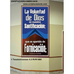 Huye de la fornicación   Marco Decoración bíblica   (GWSPAOVERCOMER10839)   