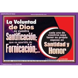 Santidad y Honor   Versículo bíblico alentador enmarcado   (GWSPAPEACE10842)   "14X12"