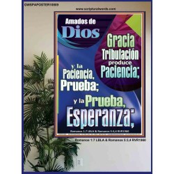 Tribulación produce Paciencia   Marco de versículo bíblico para el hogar en línea   (GWSPAPOSTER10809)   