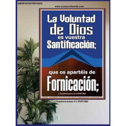 Huye de la fornicación   Marco Decoración bíblica   (GWSPAPOSTER10839)   