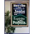 el Testimonio de Jesús es el Espíritu de Profecía   Letreros enmarcados en madera de las Escrituras   (GWSPAPOSTER11067)   "24x36"
