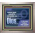 El Señor sabe todas las cosas   Marco de vidrio acrílico de arte bíblico   (GWSPAVICTOR10959)   "16X14"